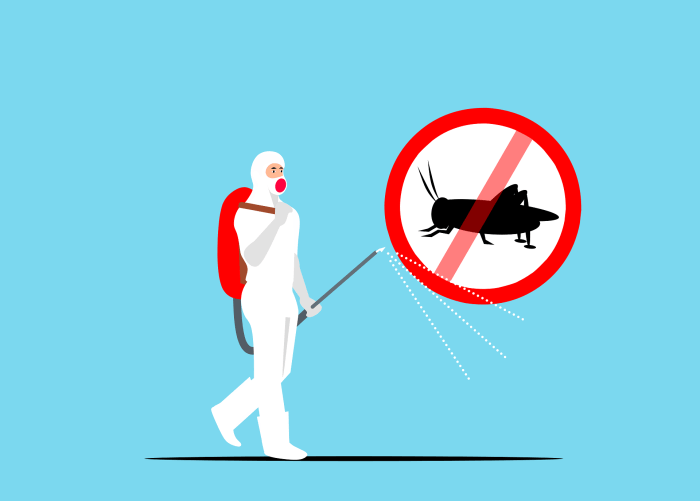 Désinsectisation, dératisation et anti-nuisibles Paris 5